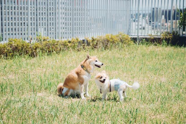 南港病院　植栽管理（病院コンシェルジュ兼任）　ユマニチュードを大切にしている法人